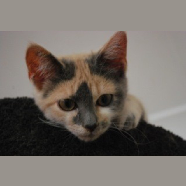 Photo of Cindy