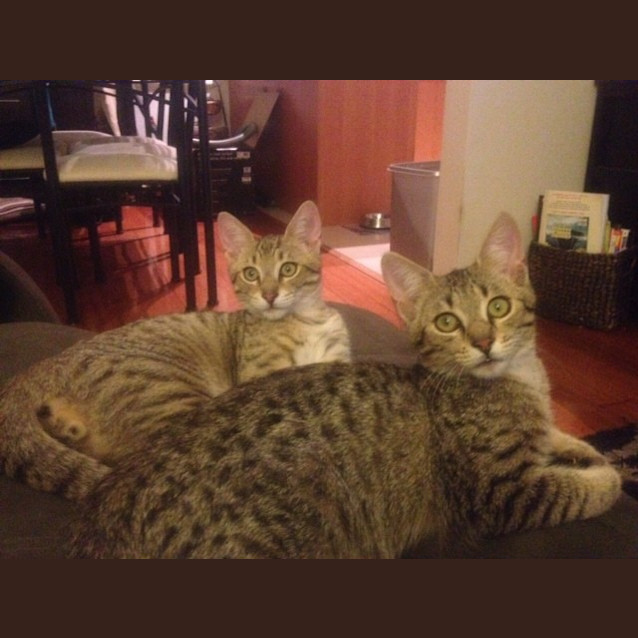 Photo of Fergus