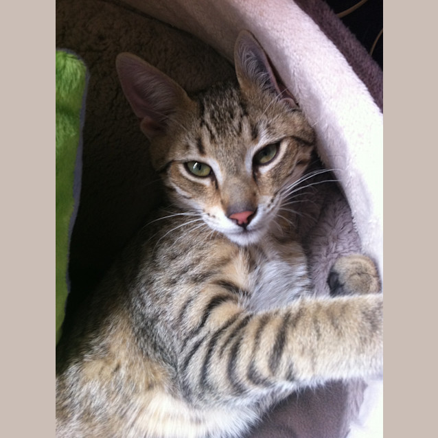 Photo of Fergus