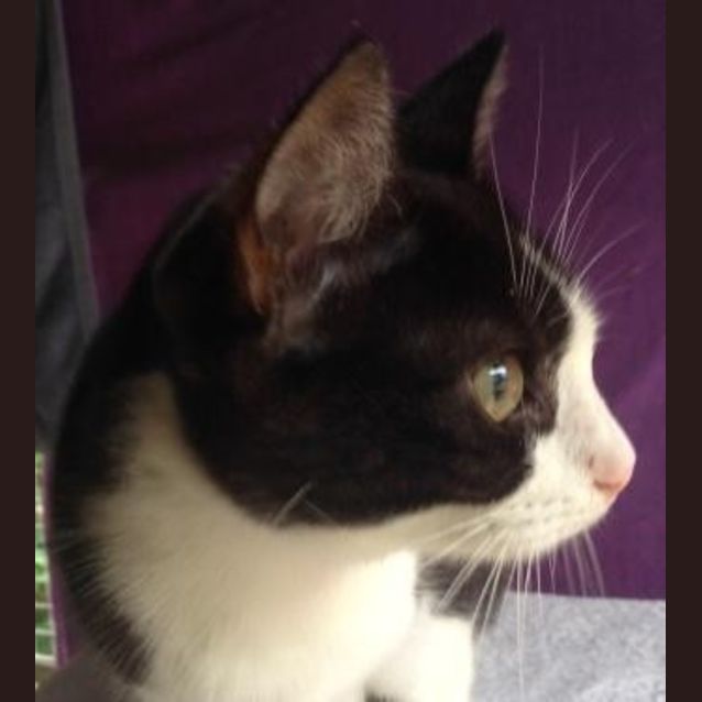 Photo of Jenny