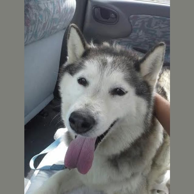 Photo of Sasha