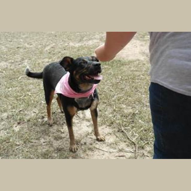 Photo of Bella (3) (By Carer 25/11/14) ~ Free