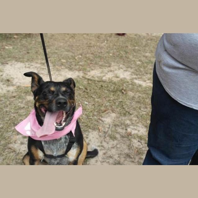 Photo of Bella (3) (By Carer 25/11/14) ~ Free