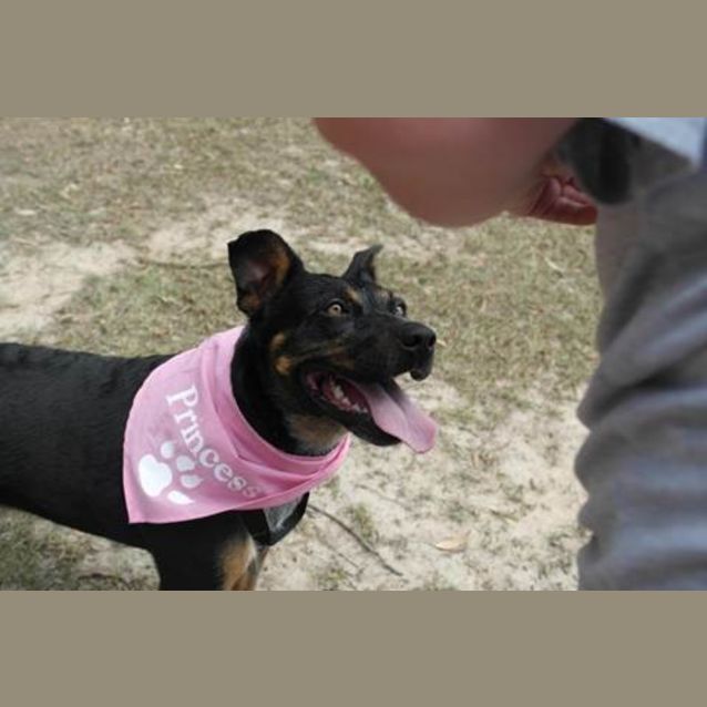 Photo of Bella (3) (By Carer 25/11/14) ~ Free