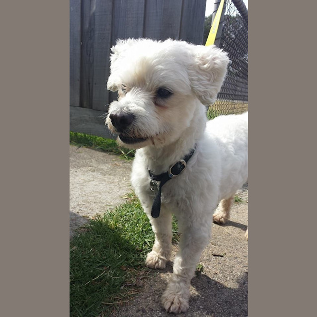Photo of Rupert