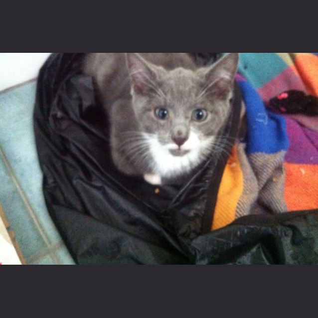 Photo of Tommy
