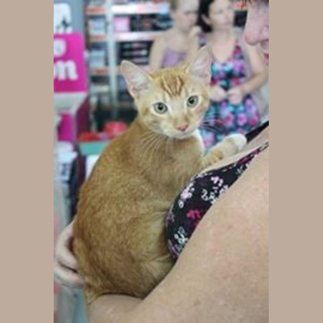 Photo of Loki