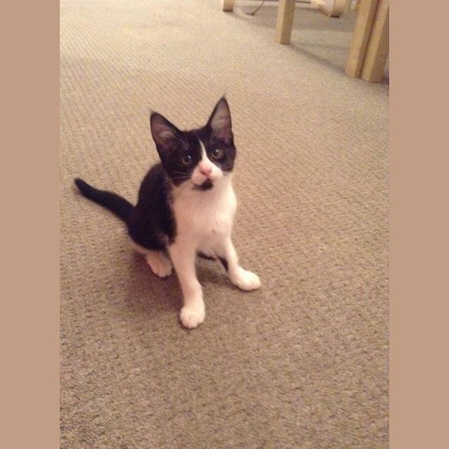 Photo of Lillian