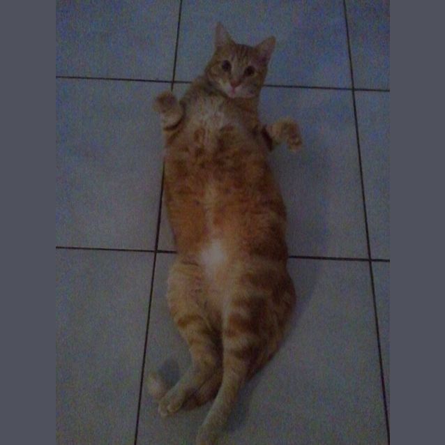 Photo of Bobby