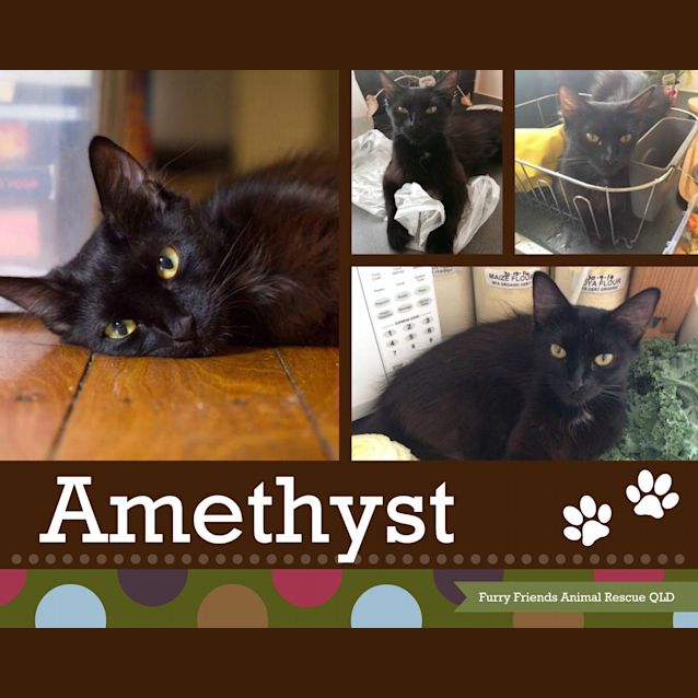 Photo of Amethyst