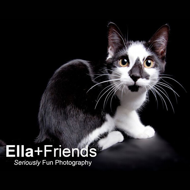 Photo of Suzie The Magnificent