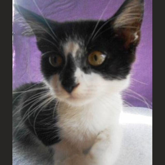 Photo of Milton