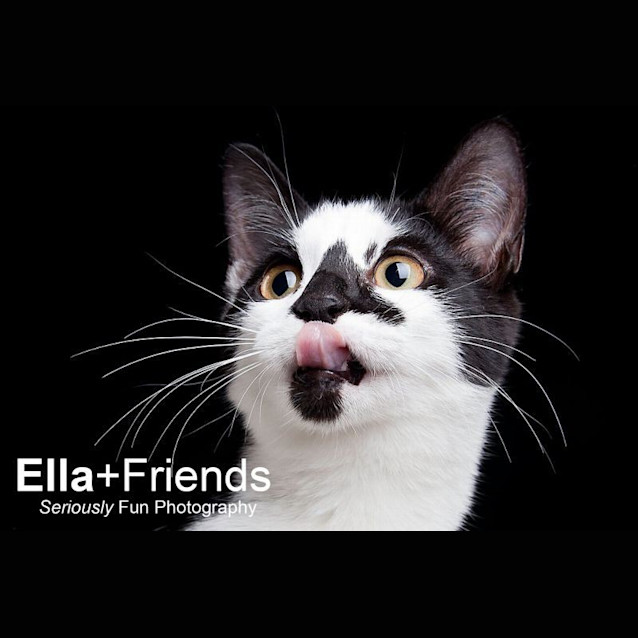 Photo of Suzie The Magnificent