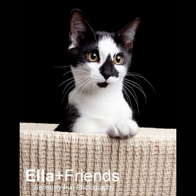 Photo of Suzie The Magnificent