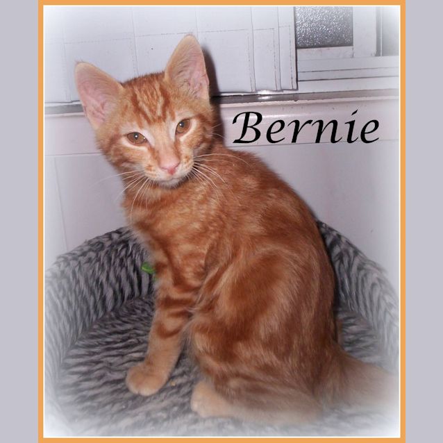 Photo of Bernie