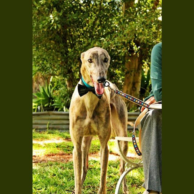 Photo of Long Tall "Cliffy"