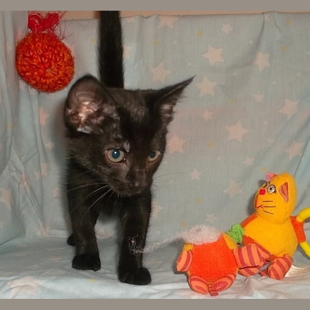 Photo of Rosalind