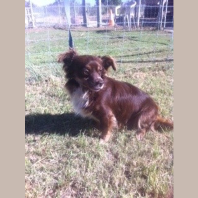 Photo of Pepsi Cola