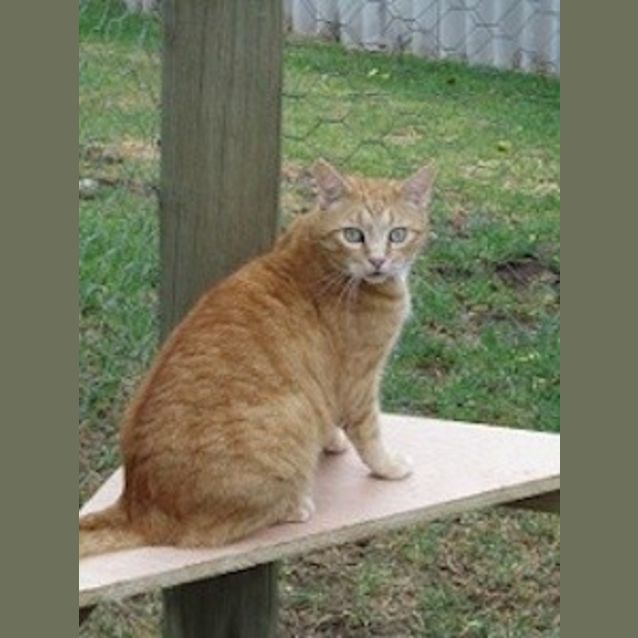 Photo of O'malley (Ec0004)