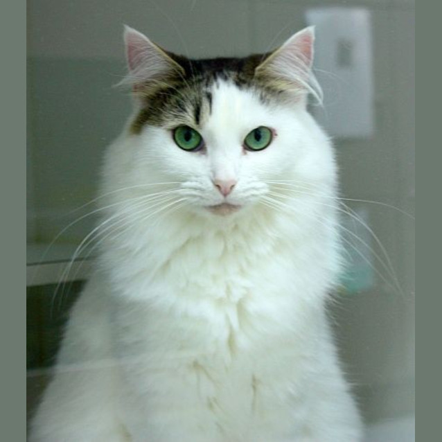 Photo of Trinity