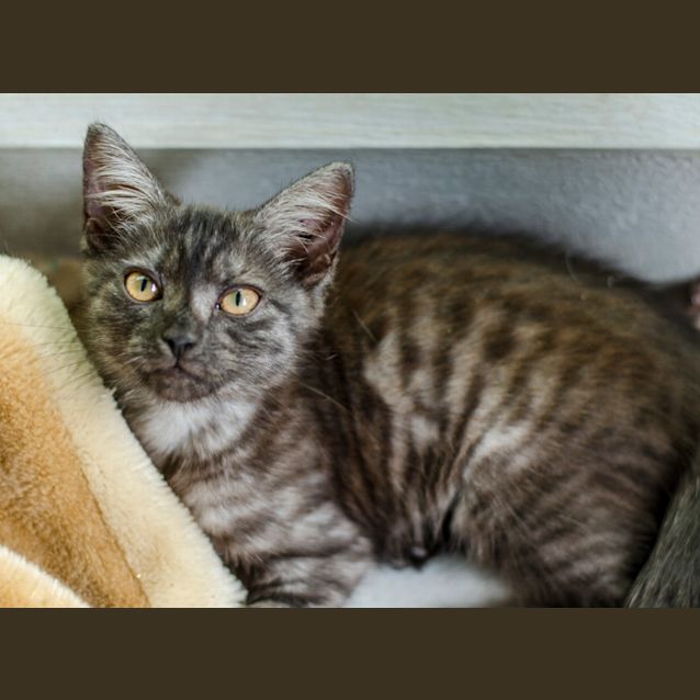 Photo of Betty