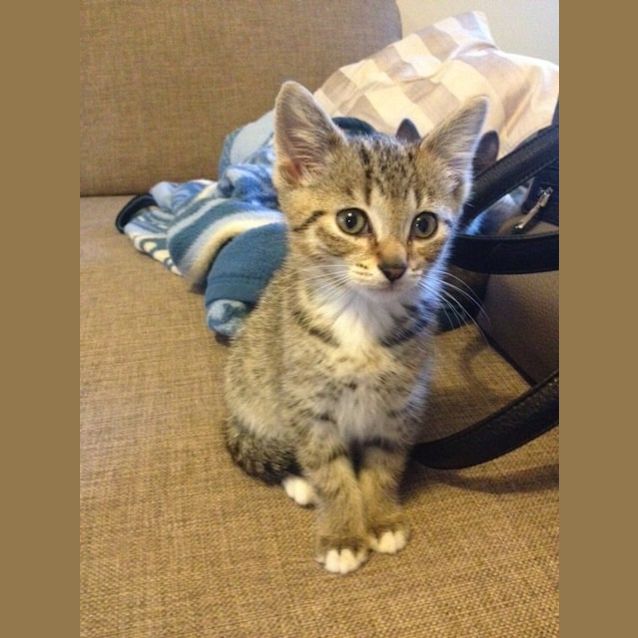 Photo of Dottie