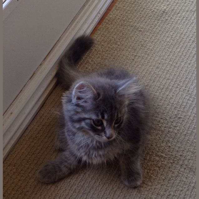 Photo of Theo