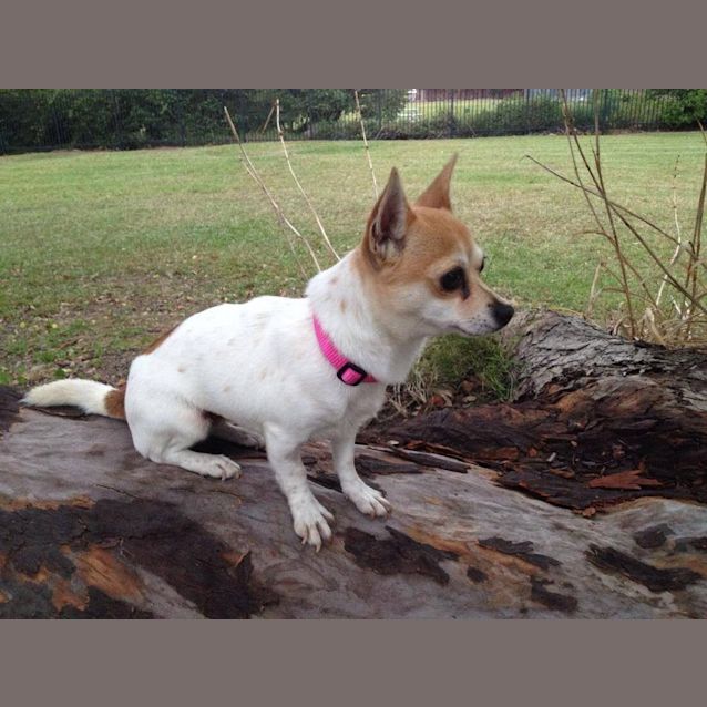 Photo of Annie