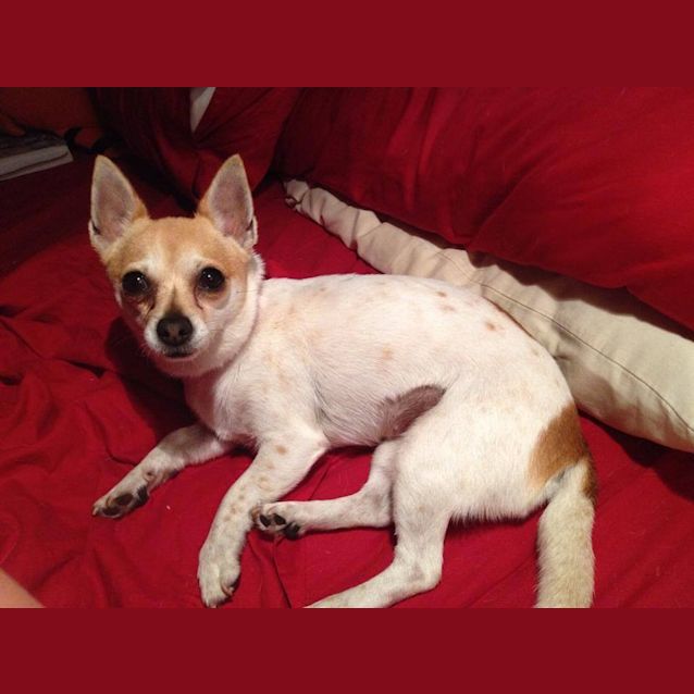 Photo of Annie