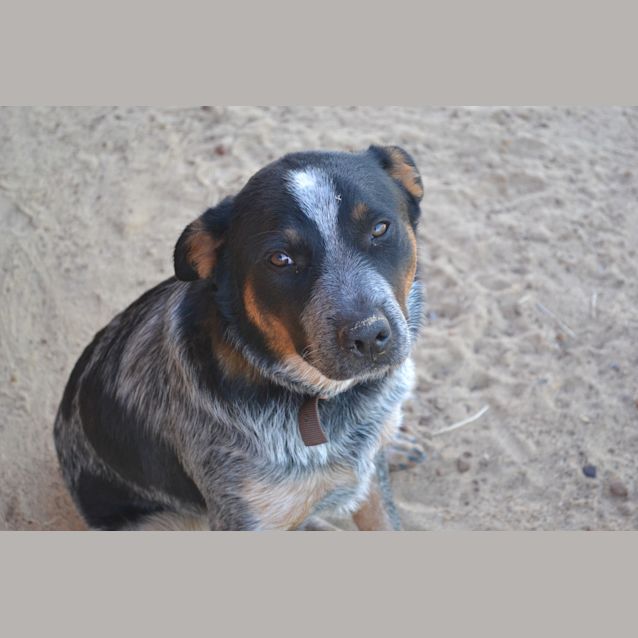 Photo of Zar 