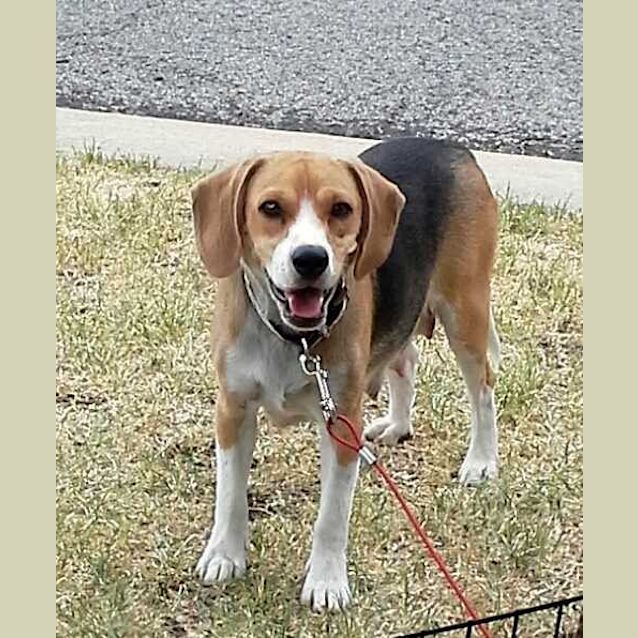 Photo of Gabby
