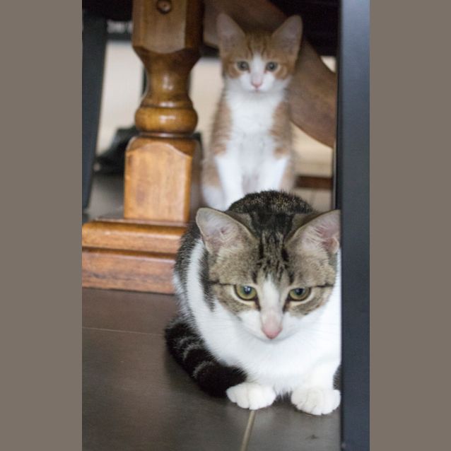 Photo of Spike