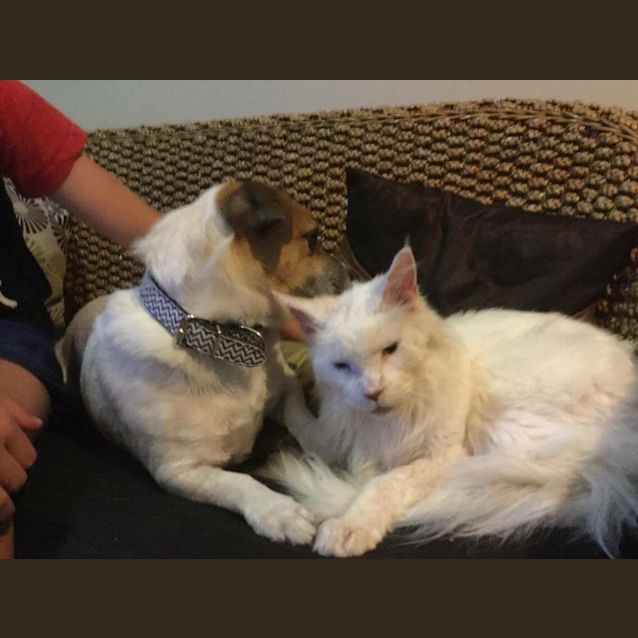 Photo of Charming Charlie