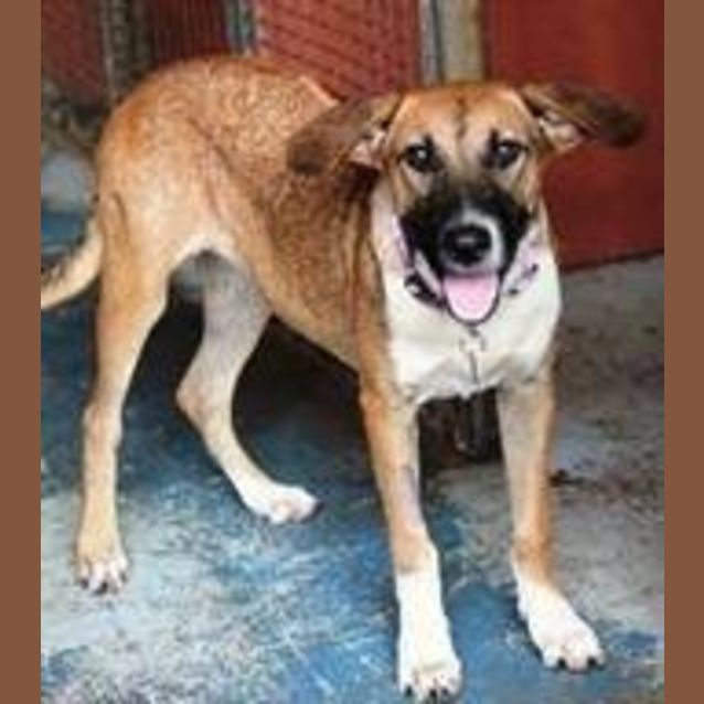 Photo of Holly