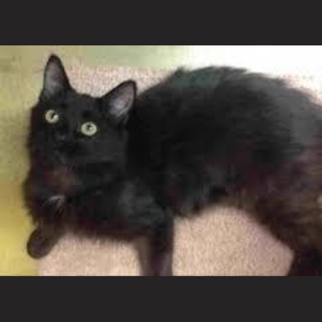 Photo of Missie