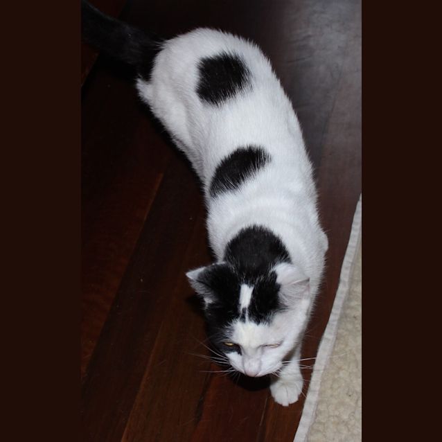 Photo of Rosie