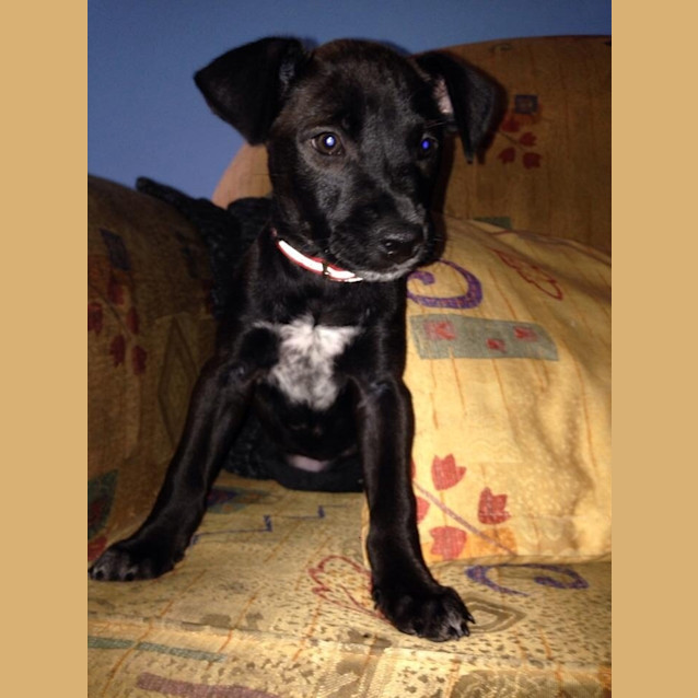Photo of Abbie