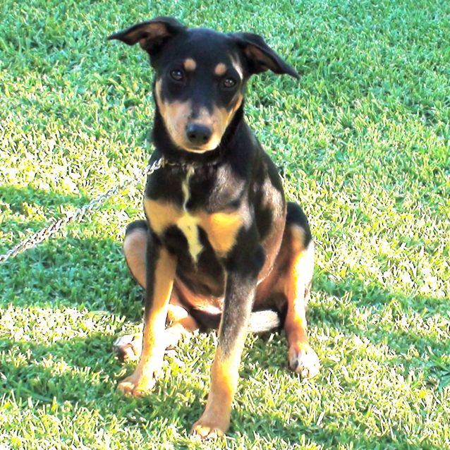 Photo of Mabel