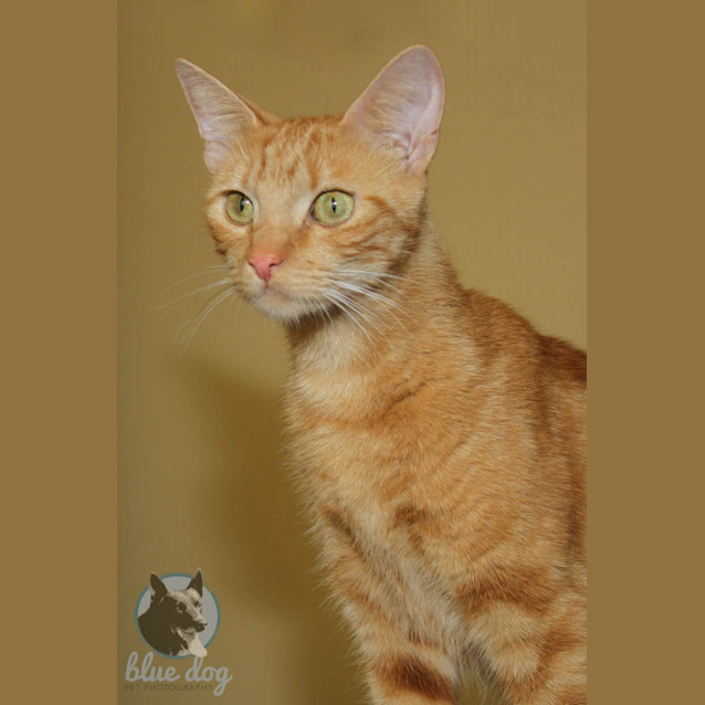 Photo of Fergie (C985)