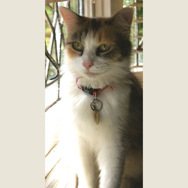 Photo of Tilly