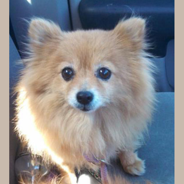 Photo of Sophie