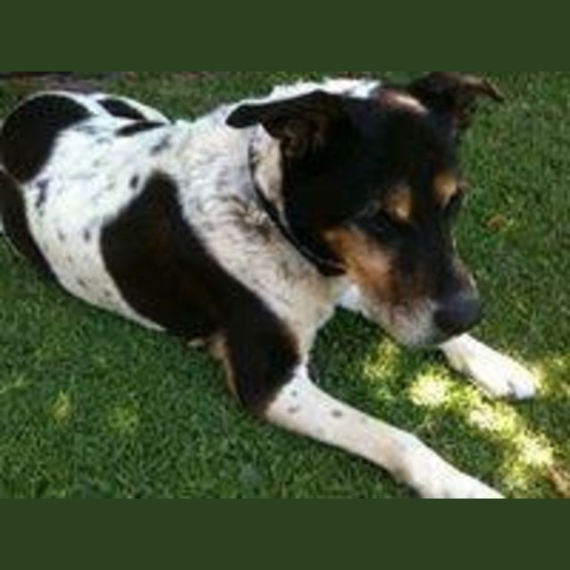 Photo of Missy