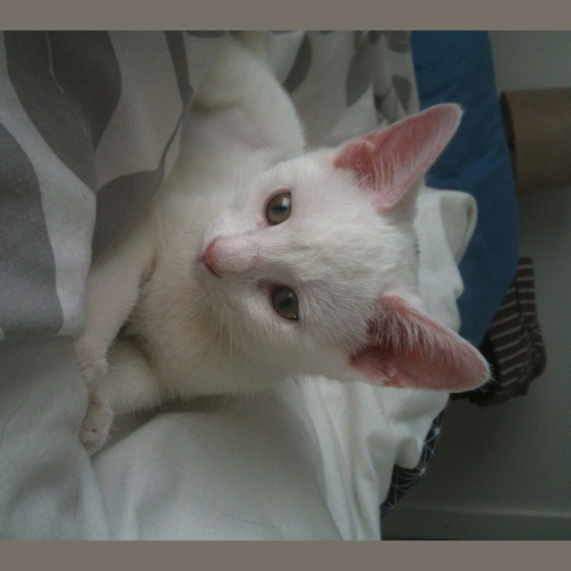 Photo of Gloria