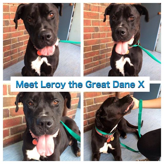 Photo of Leroy