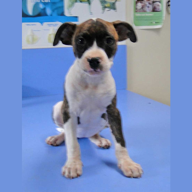 Photo of Raydence