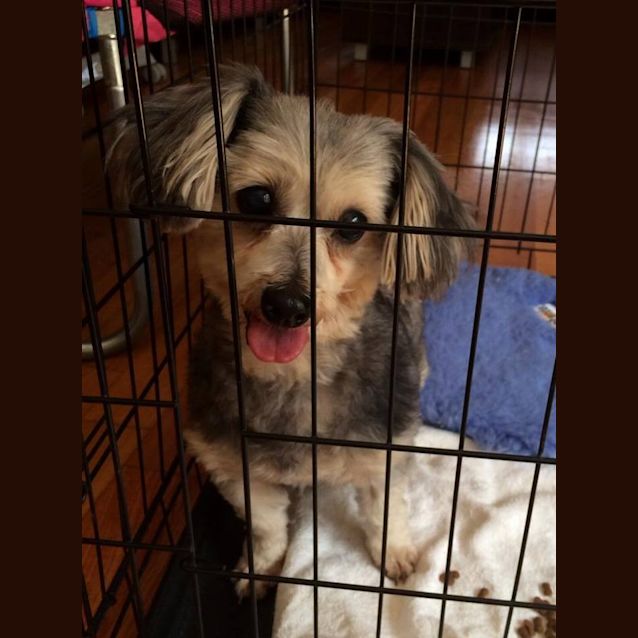 Photo of Oscar