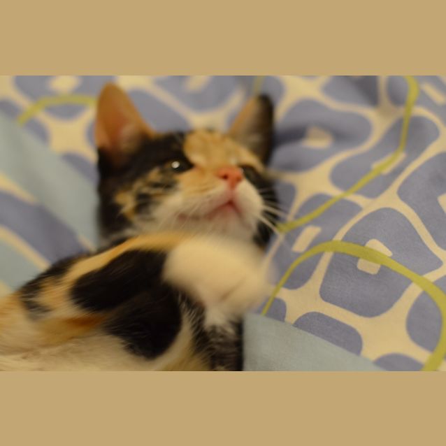 Photo of Saffy   Little Miss Sunshine!