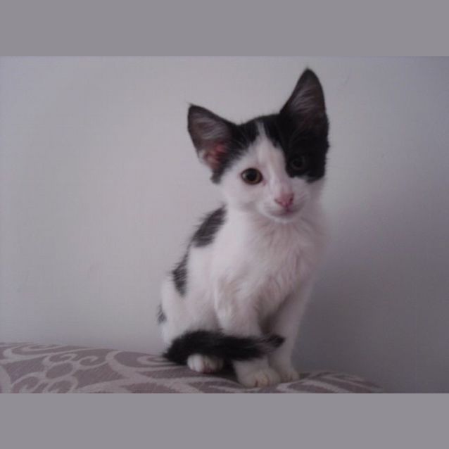Photo of Leroy