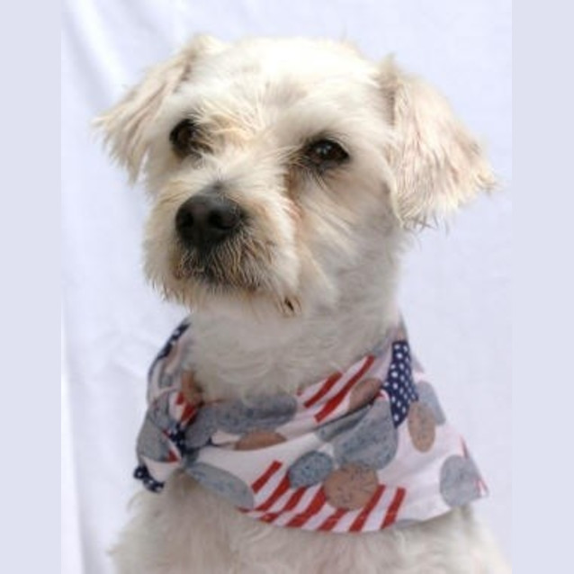 Photo of Major