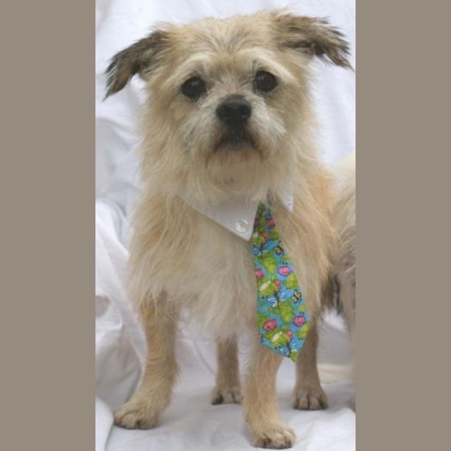 Photo of Jamie Oliver